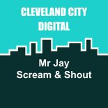 Mr Jay - Scream & Shout (Original Mix)