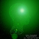 WILDB0Y - All You Gotta Say (Original Mix)