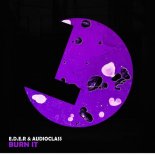 AudioClass, E.D.E.R - Burn Like (Original Mix)
