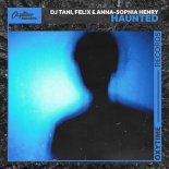 DJ Tani, Fel!x & Anna-Sophia Henry - Haunted