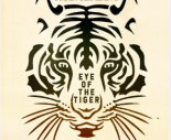 Survivor - Eye Of The Tiger ( Krointz Remix )