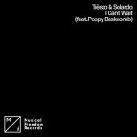Tiesto x Solardo feat. Poppy Baskcomb - I Cant Wait (Radio Edit)