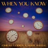 Cheat Codes faet. Matt Stell - When You Know (Radio Edit)