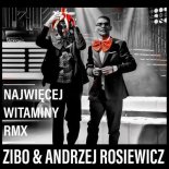 Zibo & Andrzej Rosiewicz - Najwięcej witaminy (Alchemist Project Extended Club Mix)