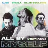 Alok feat. Sigala x Ellie Goulding - All By Myself (Ilkay Sencan Remix)