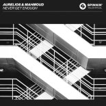 Aurelios & Mahmoud - Never Get Enough (Extended Mix)