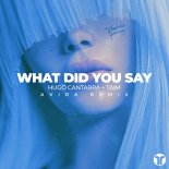 Hugo Cantarra & Taim - What Did You Say (Avira Extended Remix)