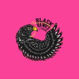 Black Hawks Of Panama - Turn You On (Original Mix)
