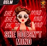 OSLM - She Doesn't Mind (Original Mix)