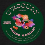 Pedro Gariani - Funky Thing (Leo Janeiro Remix)