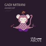 Gadi Mitrani - Mirage (Original Mix)