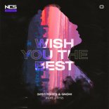 32Stitches & GNDHI Feat. J Fitz - Wish You The Best
