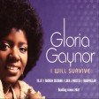 Gloria Gaynor - I Will Survive (Tillit, Andrew Cecchini, Luka J Master, Fabiopdeejay Bootleg Remix 2022)
