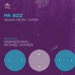 Mr. Bizz - Hidden Truth (Michael Hooker Remix)