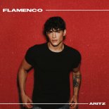 Aritz - Flamenco