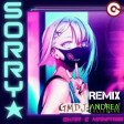 Skar & Manfree vs Gabry Ponte - Sorry (Geordie) (GMDJ x ANDJ Rmx)