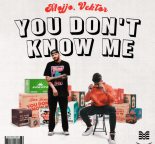 Jax Jones - You Dont Know Me ft RAYE (Mojjo Vektor Remix)