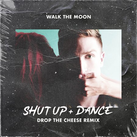 WALK THE MOON - Shut Up and Dance (Drop The Cheese Remix)