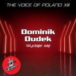 DOMINIK DUDEK - Wydaje sie (Radio Edit)