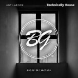 ANT LaROCK - Technically House (Original Mix)