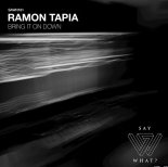 Ramon Tapia - Bring It On Down (Original Mix)