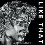 Cornel Dascalu - Like That (1)