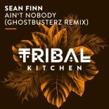Sean Finn - Ain't Nobody (Ghostbusterz Extended Remix)