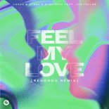 Lucas & Steve Feat. DubVision & Joe Taylor - Feel My Love (Redondo Extended Remix)