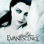 Evanescence - Lithium (V.E.I Deep House Remix)