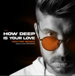 Calvin Harris - How Deep Is Your Love (Vektor Rmx)