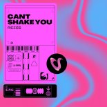 Reiss - Can't Shake You (Extended Mix)