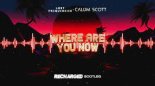 Lost Frequencies ft Calum Scott - Where Are You Now (ReCharged Bootleg)