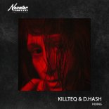 KILLTEQ, D.HASH - Hiding