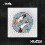 Diseptix - Summertime Sadness