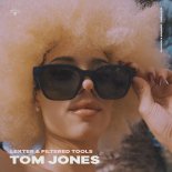 Lexter feat. Filtered Tools - Tom Jones