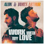 Alok & James Arthur - Work With My Love (Extended Mix)