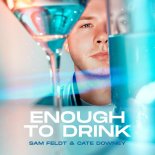 Sam Feldt feat. Cate Downey - Enough To Drink