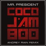 Mr. President - Coco Jamboo (Andrey Rain Remix)