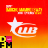 Shaft - (Mucho Mambo) Sway (Ayur Tsyrenov DFM Remix)