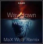 Kaleo - Way Down We Go ( MaX WolF RemiX )