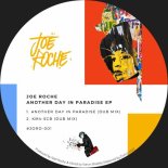 Joe Roche - Another Day In Paradise (Dub Mix)