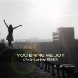 Amelia Lily - You Bring Me Joy (Chris Karpas Remix)