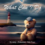 DJ Jedy feat. Pokaraet & Niki Four - What Can I Do