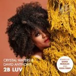 Crystal Waters & David Morales - 2B LUV (Todd Terry 2B Luv Extended Mix)