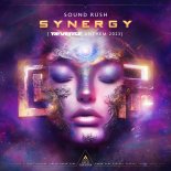 Sound Rush - Synergy (Reverze Anthem 2023) (Extended Mix)