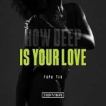 Papa Tin - How Deep Is Your Love (Original Mix)