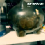 Cript Rawquit - Infinity (Original Mix)