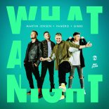 Martin Jensen Feat. VAMERO & Gibbs - What a Night