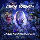 Chris Brown - Under The Influence (SB Bootleg Remix)