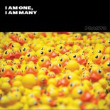 James Curd - I Am One, I Am Many (T.U.R.F. Remix)